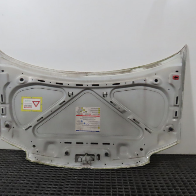 Capot occasion  Fiat PANDA (169_) 1.2 (169axf2a, 169axf1a) (2010-2013)   51876323  2