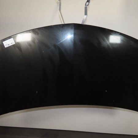 Capot occasion  Renault CLIO III (BR0/1, CR0/1) 1.5 dci (br17, cr17) (2005-2012) 5 portes   7751476113 