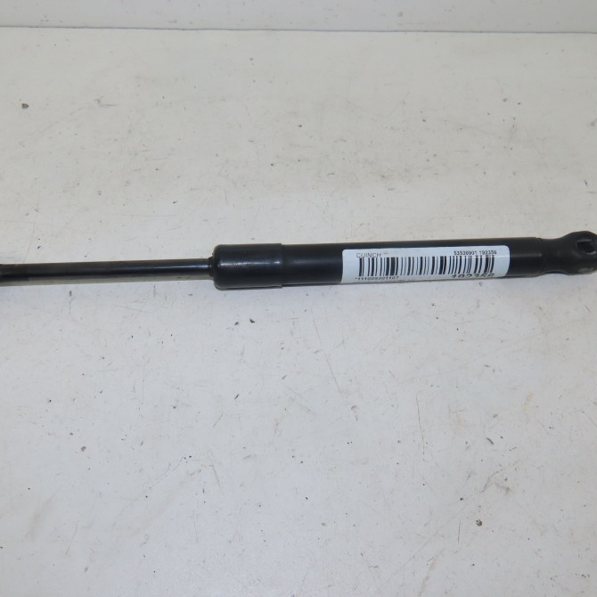 Verin droit coffre arrière occasion  Ford usa MUSTANG Coupé 4.6 v8 (2004)   5R3Z63406A10BA  1