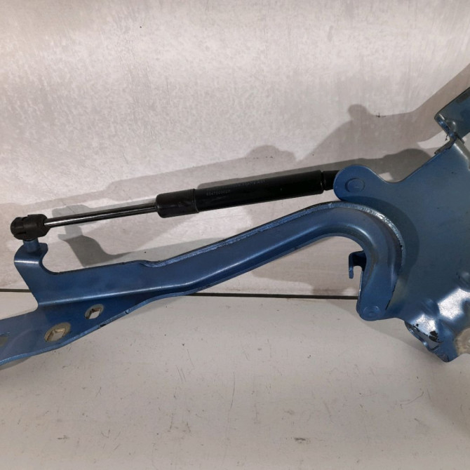 Compas g capot occasion  Renault SCÉNIC III (JZ0/1_) 1.6 dci (jz00, jz12) (2011) 5 portes   654012134R  3