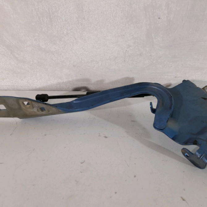 Compas g capot occasion  Renault SCÉNIC III (JZ0/1_) 1.6 dci (jz00, jz12) (2011) 5 portes   654012134R  4