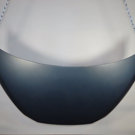 Capot occasion  Renault AVANTIME (DE0_) 2.2 dci (de01) (2002-2003)   6025372421 