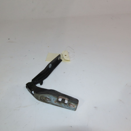 Compas g capot occasion  Peugeot 206+ (2L_, 2M_) 1.4 hdi eco 70 (2009-2013) 5 portes   791257 