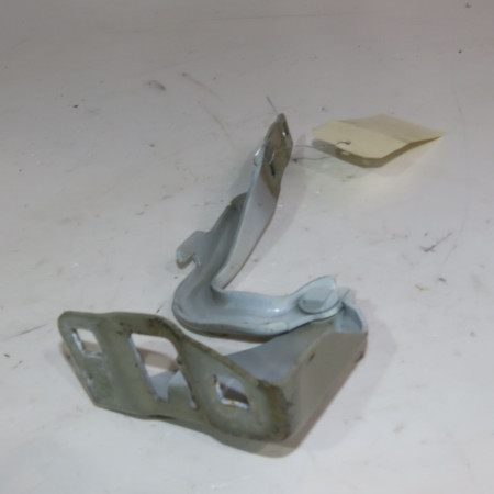 Compas g capot occasion  Fiat PANDA (312_, 319_) 1.2 (312pxa1a) (2012)   51841974 