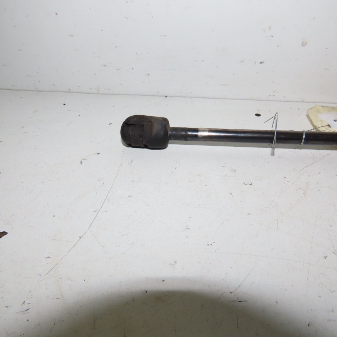 Verin droit hayon occasion  Citroën C3 I (FC_, FN_) 1.6 16v hdi (2005)   8731G3  2