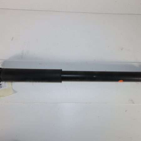 Amortisseur arrière gauche occasion  Ford C-MAX II (DXA/CB7, DXA/CEU) 1.0 ecoboost (2012-2019)   1898207 