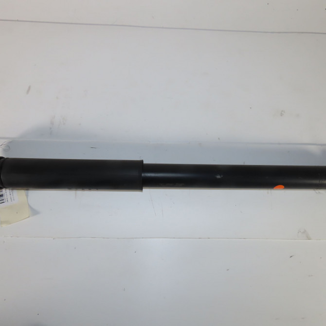 Amortisseur arrière gauche occasion  Ford C-MAX II (DXA/CB7, DXA/CEU) 1.0 ecoboost (2012-2019)   1898207  1