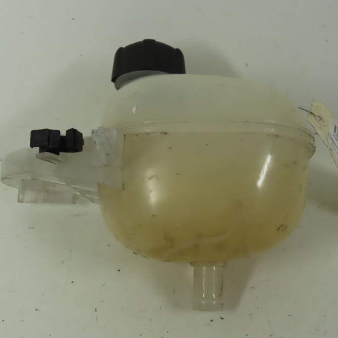 Vase expansion occasion  Renault TWINGO III (BCM_, BCA_) 1.0 sce 70 (bcmb) (2015) 5 portes   217104764R  3