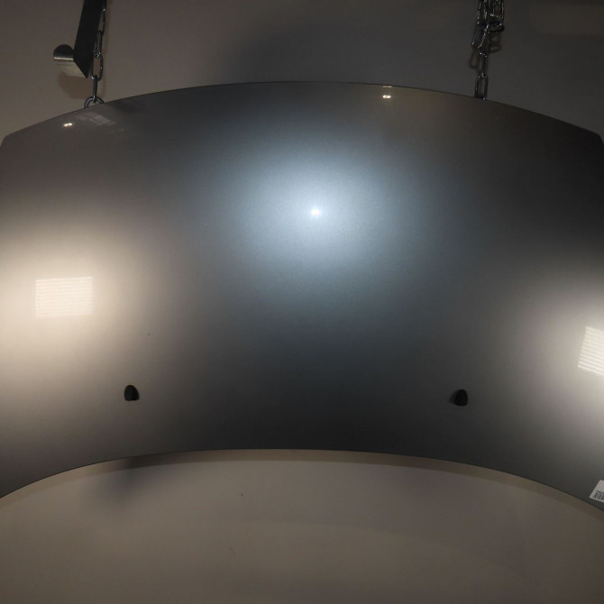 Capot occasion  Citroën C3 I (FC_, FN_) 1.4 hdi (2003-2011) 5 portes   7901N0  1