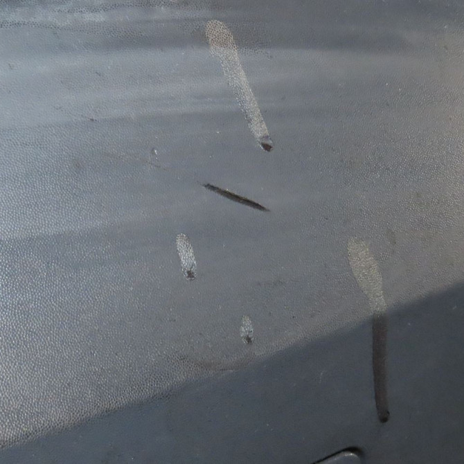 Pare-choc avant occasion  Dacia LOGAN (LS_) 1.4 (lsoa, lsoc, lsoe, lsog) (2004)   6001549312  5