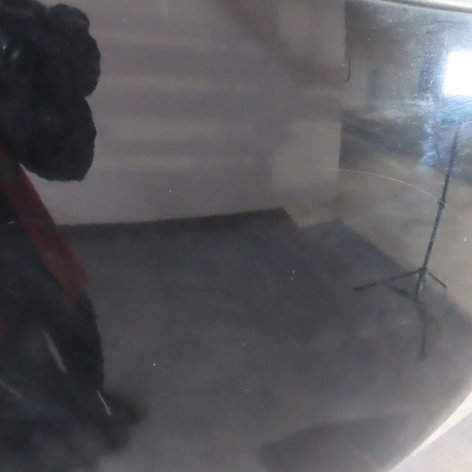 Capot occasion  Ford FOCUS C-MAX (DM2) 1.8 tdci (2005-2007) 5 portes   1493967  2