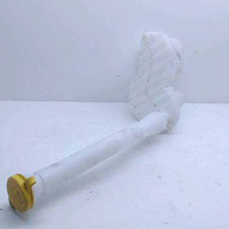 Reservoir lave-glace avant occasion  Renault MASTER III Camionnette (FV) 2.3 dci 135 fwd (fv0n, fv08) (2014)   289100030R 