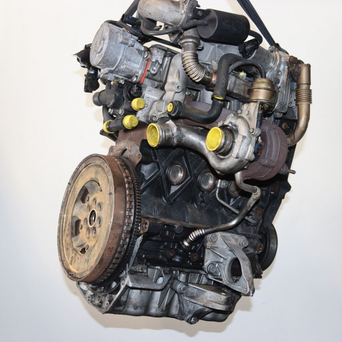 Moteur diesel occasion  Renault SCÉNIC II (JM0/1_) 1.9 dci (jm0g, jm12, jm1g, jm2c) (2003-2006)   F9QK816  4
