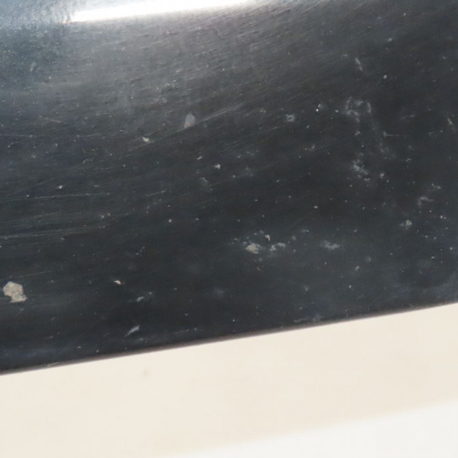 Protection porte avd occasion  Renault SCÉNIC III (JZ0/1_) 1.5 dci (2009) 5 portes   801869129R  2