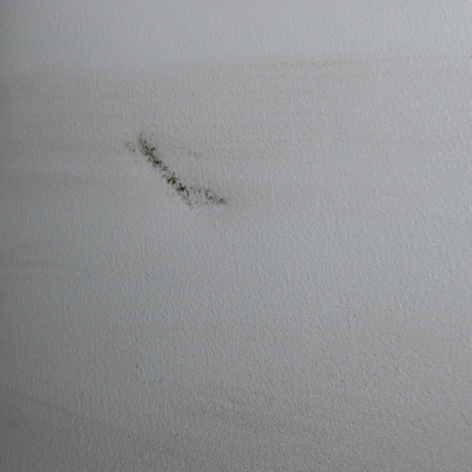 Pare-soleil gauche occasion  Fiat PANDA (312_, 319_) 1.2 (312pxa1a) (2012)   735735339  4