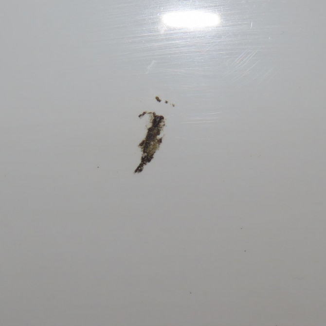 Pare-choc avant occasion  Ford TRANSIT COURIER B460 Monospace 1.0 ecoboost (2014)   2314152  5