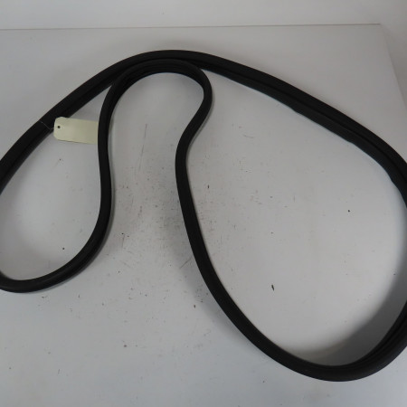 Joint porte avg occasion  Renault CLIO III (BR0/1, CR0/1) 1.5 dci (br17, cr17) (2005-2012) 5 portes   8200428873 