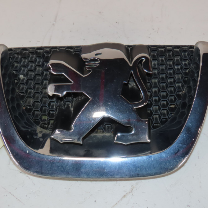 Grille calandre occasion  Peugeot 207/207+ (WA_, WC_) 1.6 hdi (2006-2013) 5 portes   9800313880  1