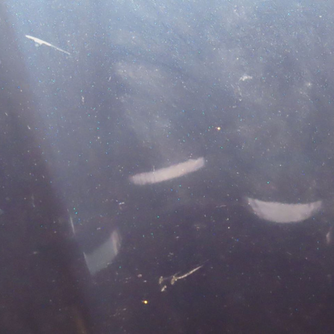 Capot occasion  Citroën C5 III (RD_) 1.6 hdi 110 (2008)   7901P3  5