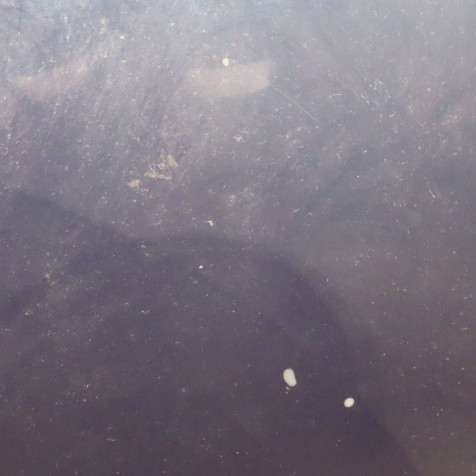 Capot occasion  Citroën C5 III (RD_) 1.6 hdi 110 (2008)   7901P3  6