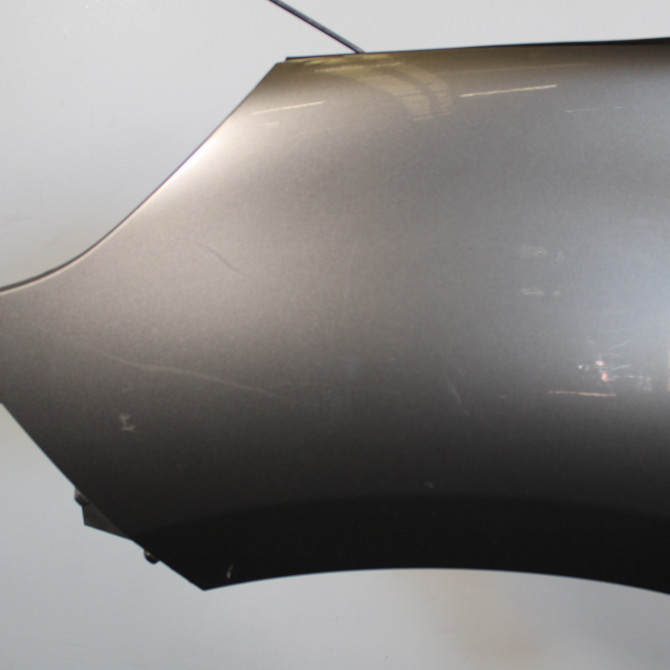 Aile avant gauche occasion  Renault SCÉNIC III (JZ0/1_) 1.9 dci (jz0j, jz1j, jz1k, jz1s) (2009)   631017581R  2