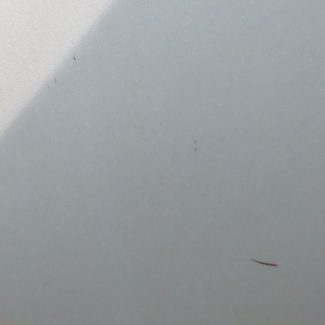 Aile avant droite occasion  Renault MODUS / GRAND MODUS (F/JP0_) 1.2 (jp0c, jp0k, fp0c, fp0k, fp0p, jp0p, jp0t) (2004) 5 portes   631007942R  3