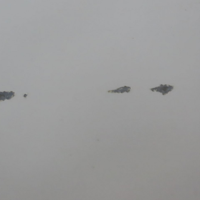 Porte arrière droite occasion  Renault ZOE (BFM_) Zoe (2012) 5 portes   821008742R  4