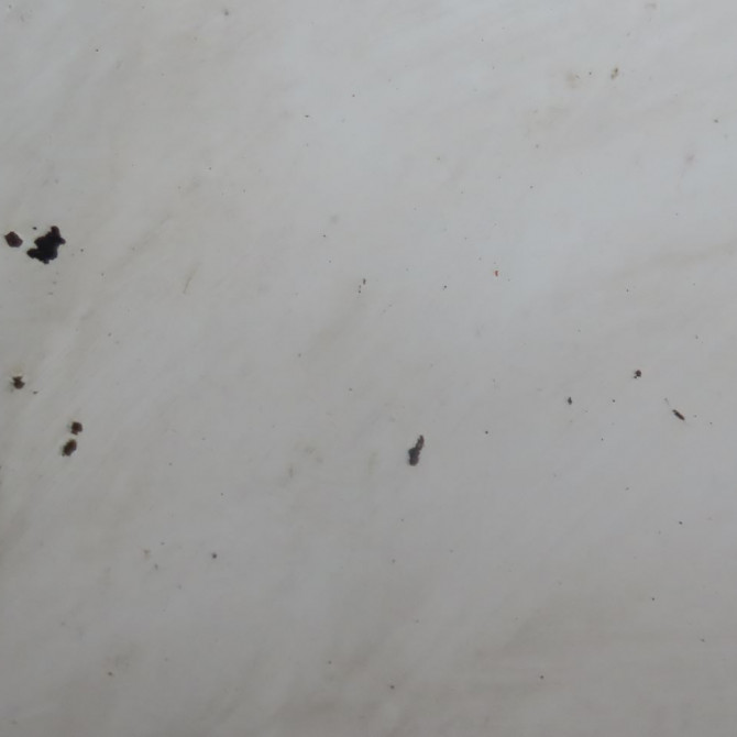 Capot occasion  Renault TRAFIC II Camionnette (FL) 1.9 dci 100 (fl0c) (2001-2006)   651008380R  3