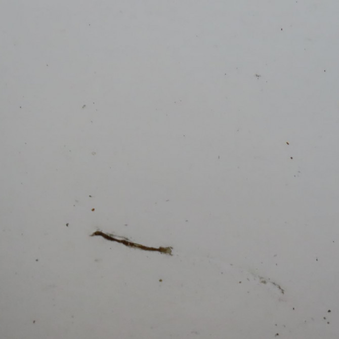 Porte avant gauche occasion  Ford FIESTA V (JH_, JD_) 1.4 tdci (2001-2008) 5 portes   1692539  3