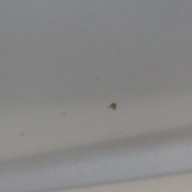 Porte avant gauche occasion  Hyundai I20 I (PB, PBT) 1.4 crdi (2008-2015)   760031J000  4