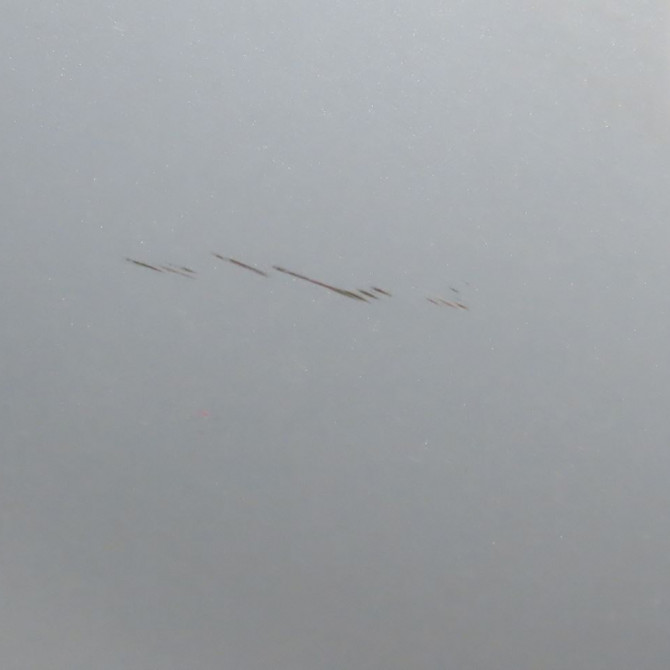 Porte arrière droite occasion  Citroën XSARA (N1) 1.6 16v (2000-2005) 5 portes   9008F8  3