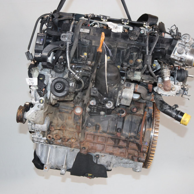 Moteur diesel occasion  Kia PRO CEE'D (JD) 1.6 crdi 136 (2015-2018)   D4FB-Z54612AZ00  1