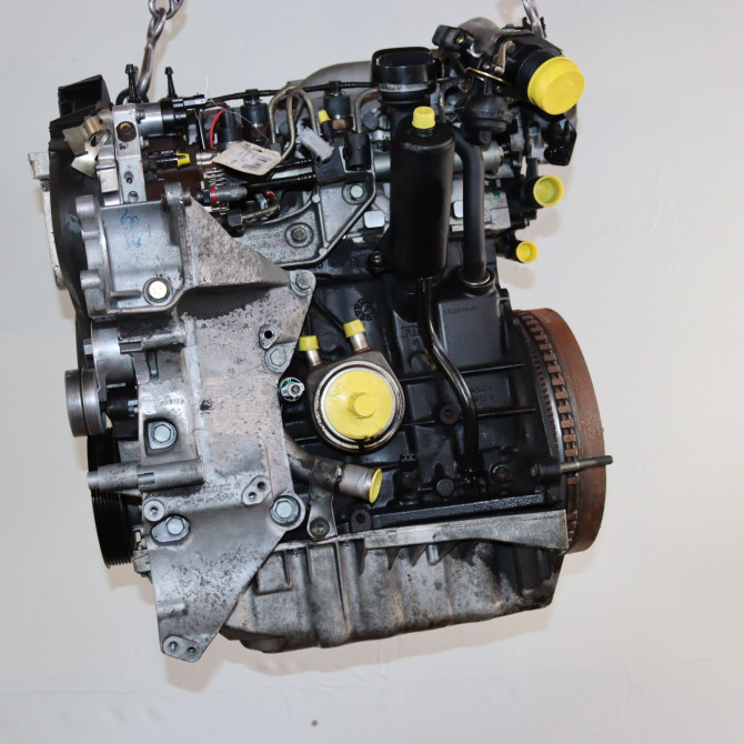 Moteur diesel occasion  Nissan PRIMERA Hatchback (P12) 1.9 dci (2003-2007)   F9QA260  1