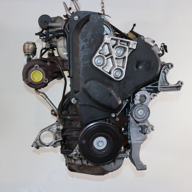 Moteur diesel occasion  Nissan PRIMERA Hatchback (P12) 1.9 dci (2003-2007)   F9QA260  3