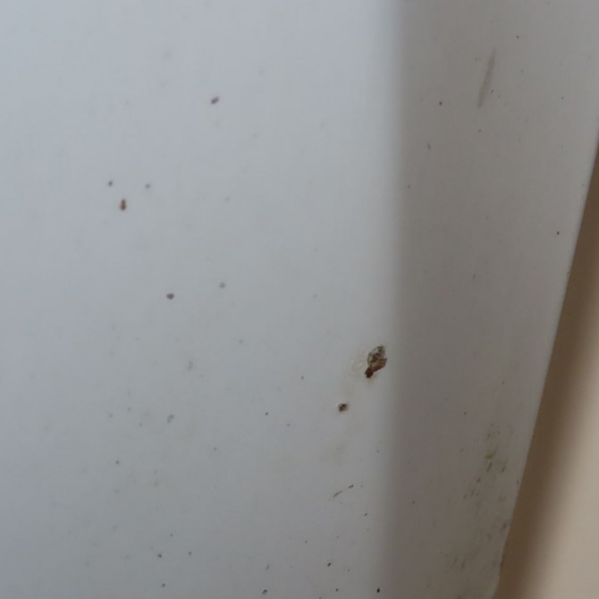 Capot occasion  Kia CEE'D 3/5 portes (ED) 1.6 crdi 90 (2006-2012)   664001H000  6