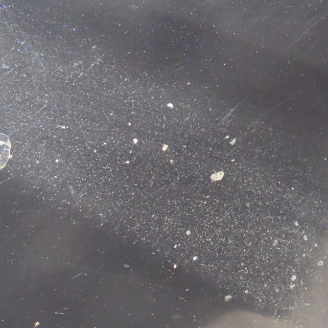 Porte arrière droite occasion  Jeep PATRIOT (MK74) 2.0 crd 4x4 (2007-2017)   05067712AE  3