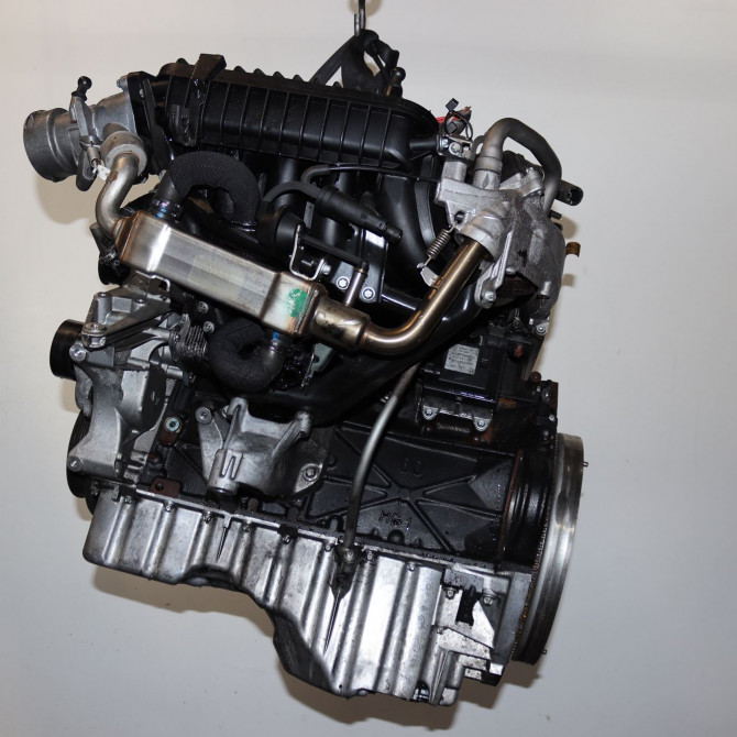 Moteur diesel occasion  Mercedes-benz CLK (C209) Clk 220 cdi (209.308) (2005-2009)   64696630  3