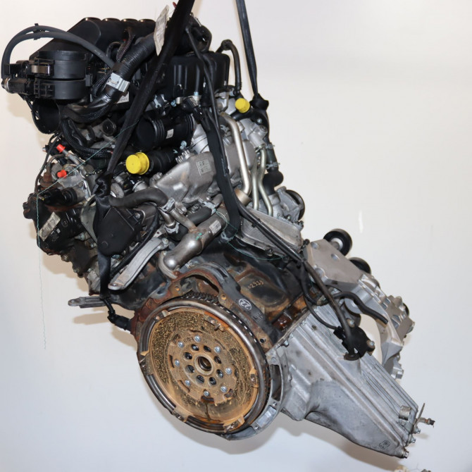 Moteur diesel occasion  Mercedes-benz CLASSE A (W169) A 200 cdi (169.008, 169.308) (2004-2012) 5 portes   A6400108100  5