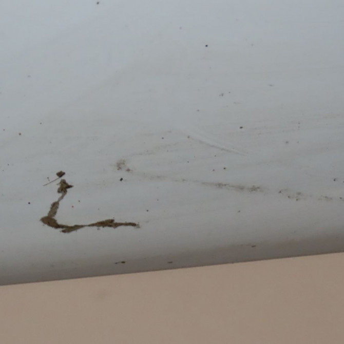 Porte arrière droite occasion  Opel AGILA (B) (H08) 1.2 (f68) (2010-2014) 5 portes   93193292  3