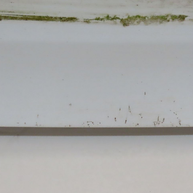 Hayon occasion  Ford FIESTA VI (CB1, CCN) 1.5 tdci (2012-2017)   1763986  3