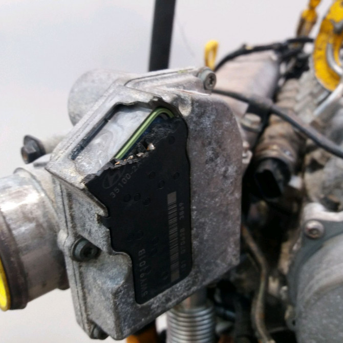 Moteur diesel occasion  Hyundai I30 (FD) 1.6 crdi (2007-2011)   D4FB-211012ZA01  5