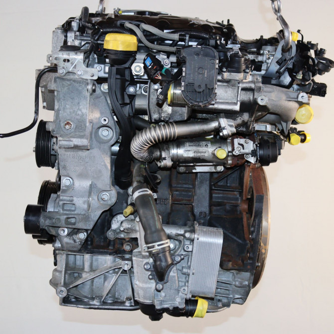 Moteur diesel occasion  Renault SCÉNIC II (JM0/1_) 2.0 dci (jm1k) (2005-2008)   M9RB721  1