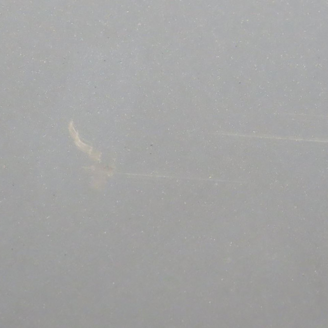 Porte arrière droite occasion  Ford FOCUS II (DA_, HCP, DP) 1.6 tdci (2004-2012)   1702402  3