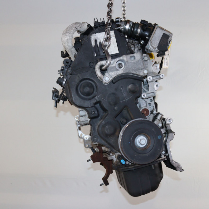 Moteur diesel occasion  Ford FIESTA VI (CB1, CCN) 1.6 tdci (2008-2012)   HHJE  3