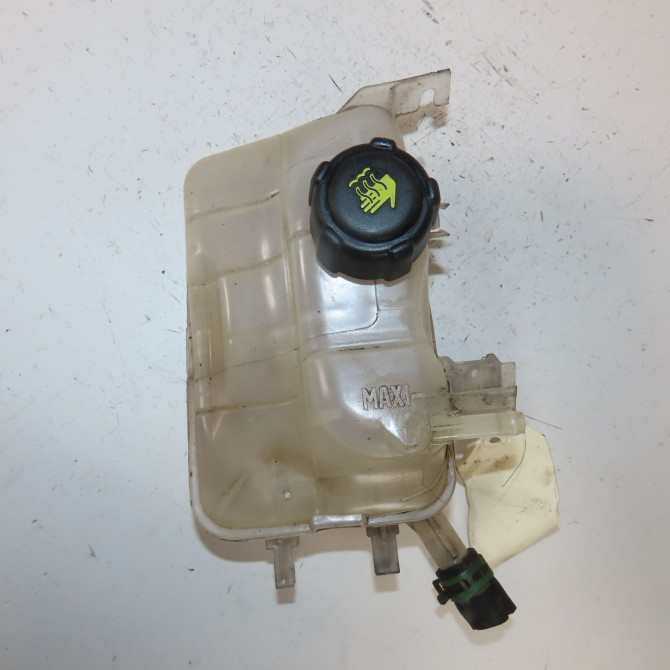 Vase expansion occasion  Renault MEGANE III 3/5 portes (BZ0/1_, B3_) 1.6 16v hi-flex (bz03) (2008-2015)   217100005R  1