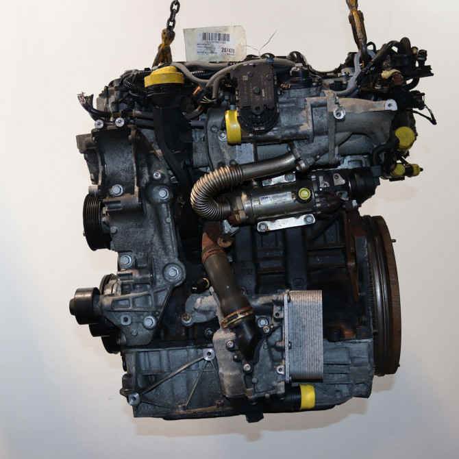 Moteur diesel occasion  Renault ESPACE IV (JK0/1_) 2.0 dci (jk01, jk02, jk1j, jk1k, jk1h) (2006)   M9RP762  1