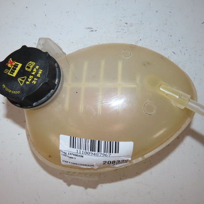 Vase expansion occasion  Ford PUMA (J2K, CF7) 1.0 ecoboost (2019)   2066919  1