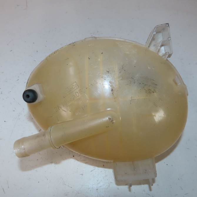 Vase expansion occasion  Ford PUMA (J2K, CF7) 1.0 ecoboost (2019)   2066919  2