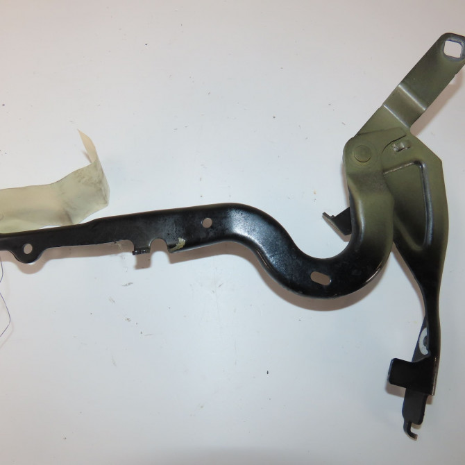 Compas g capot occasion  Peugeot 208 II (UB_, UP_, UW_, UJ_) 1.2 puretech 100 (2019) 5 portes   9823211680  2