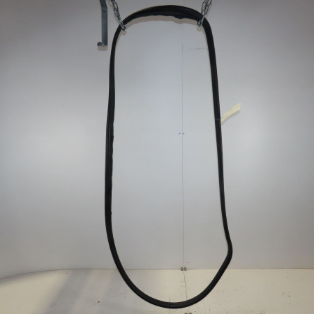 Joint porte avg occasion  Renault GRAND SCÉNIC II (JM0/1_) 1.9 dci (jm14) (2004-2008)   8200077500 